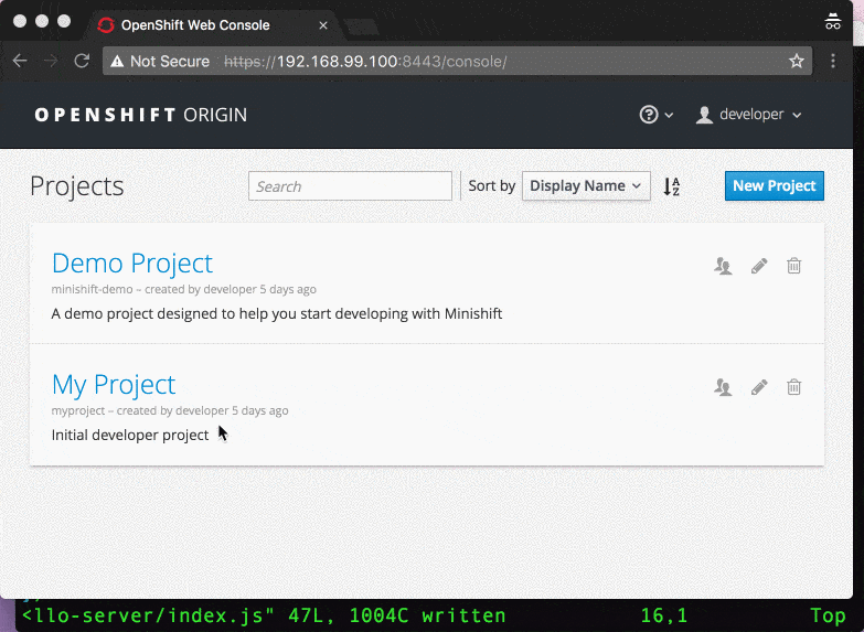 OpenShift web console and minishift demo