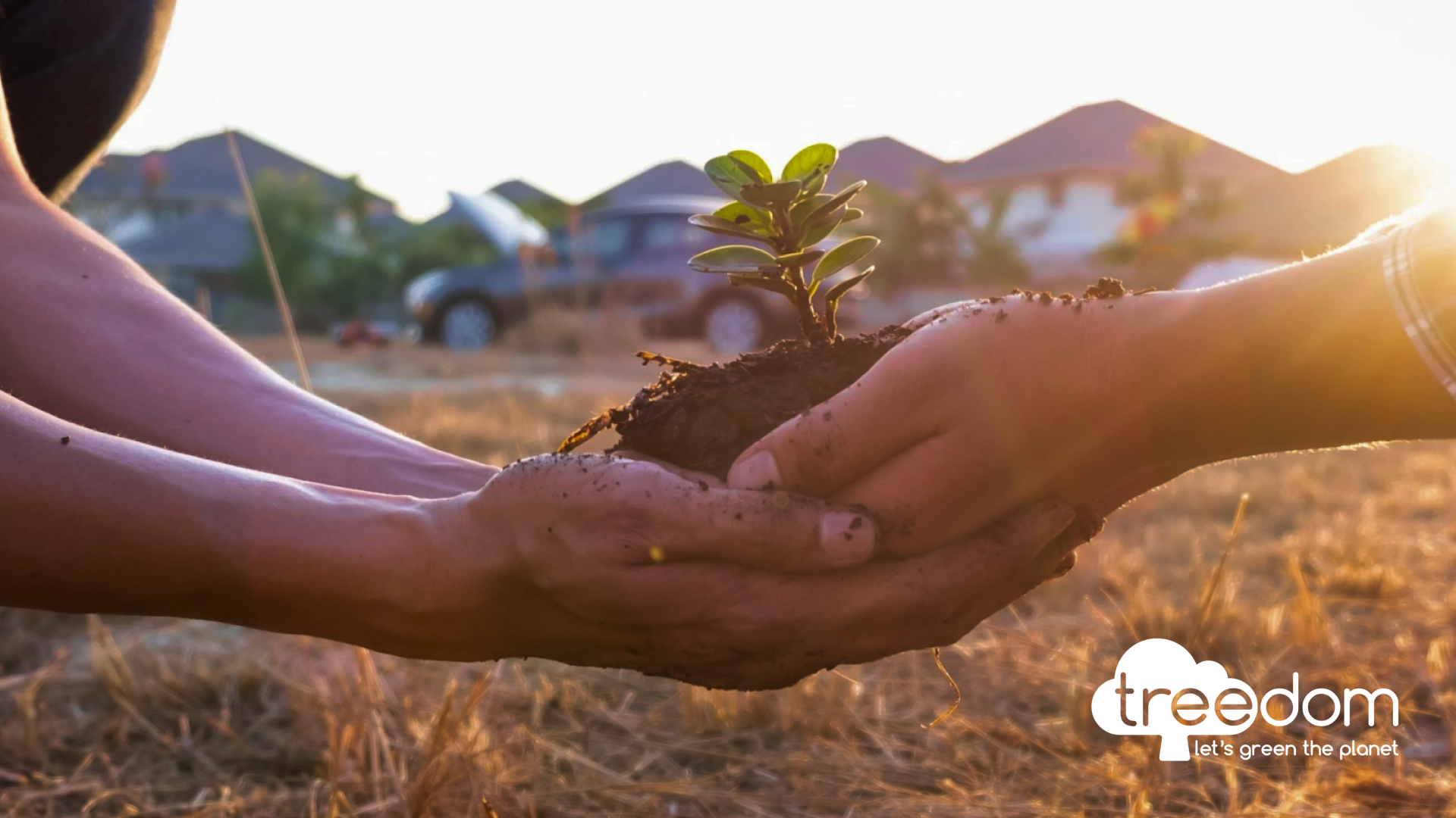 Treedom - Two pairs of hands hold a seedling that is sprouting from a small pile of dirt.